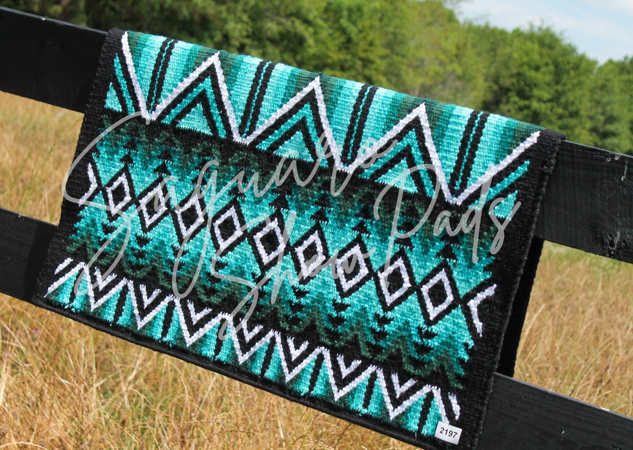 2197 "Kate" Ranch Pad Saguaro Show Pads