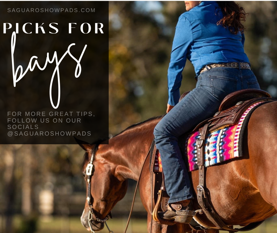 BAY HORSE LOOK-BOOK