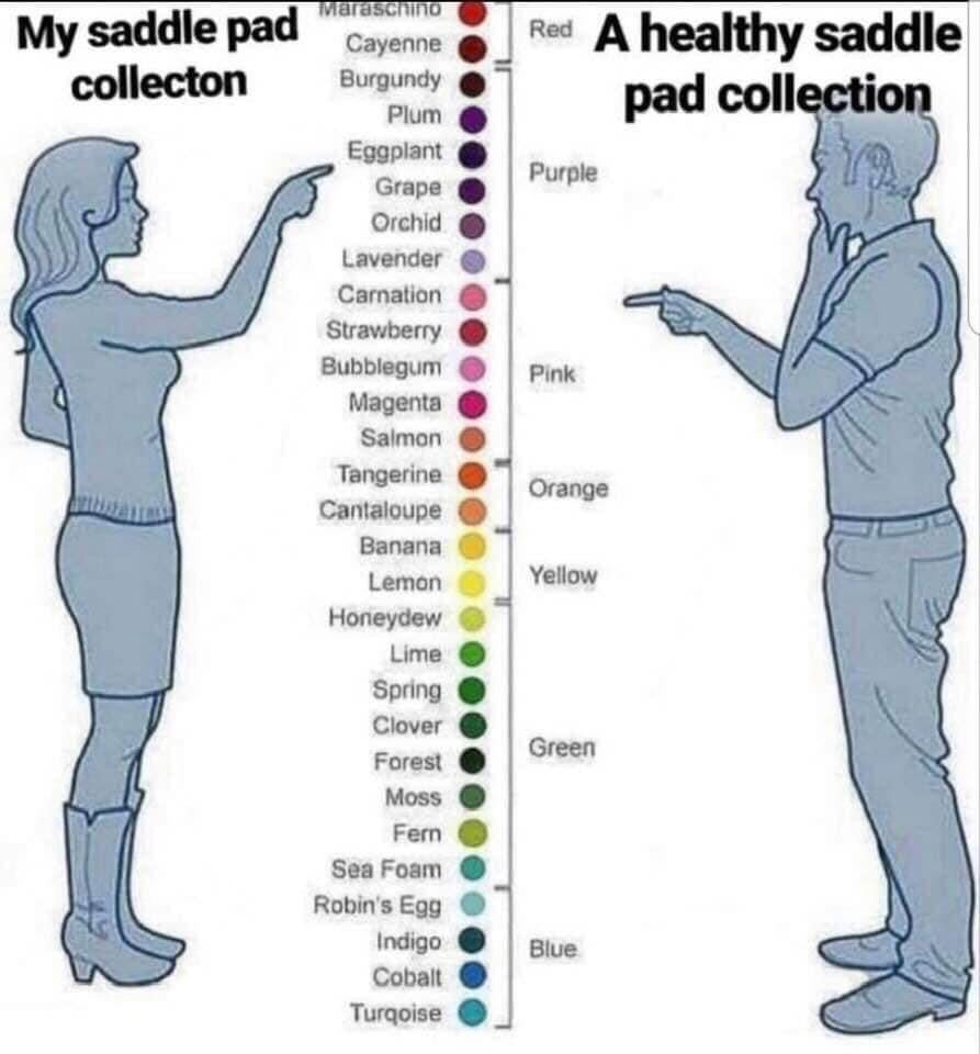 SO. MANY. COLORS.