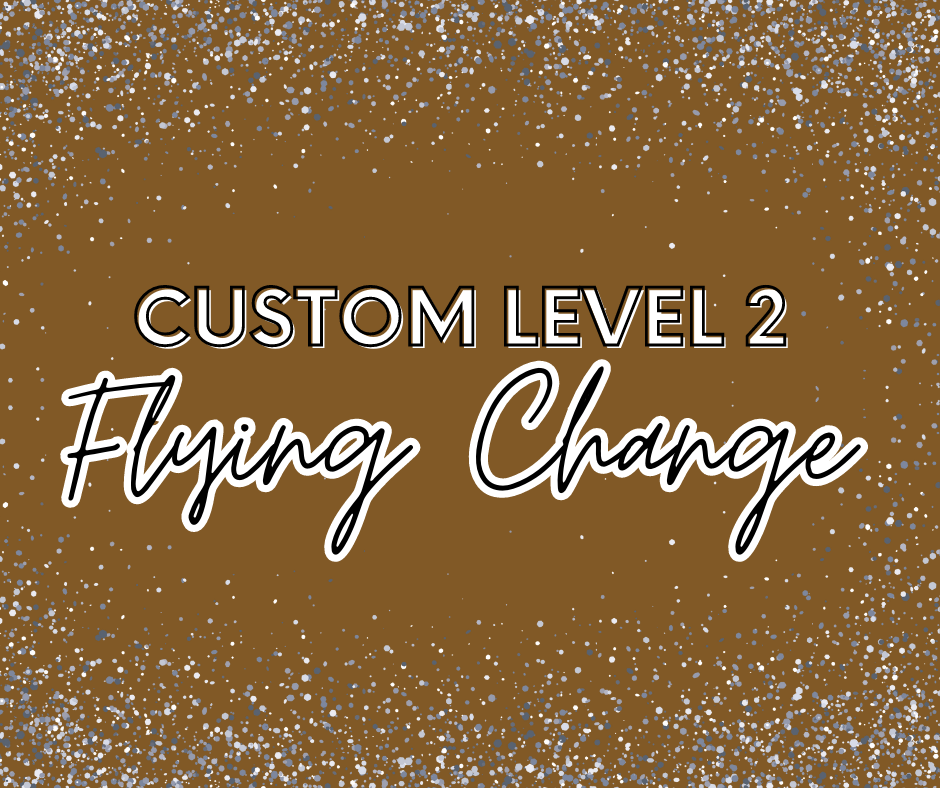 LEVEL 2 - Flying Change Custom