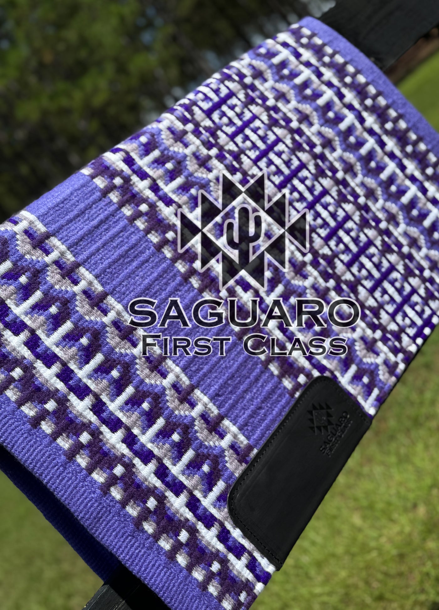 #6484 "Francesca 2.0” First Class™️ Show Pad